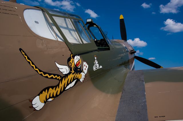 CURTISS Warhawk — - Warhawk basks in the sun