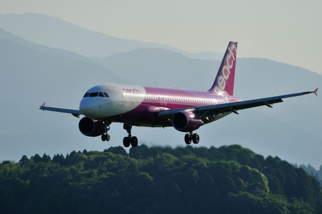 Airbus A320 (JA805P)