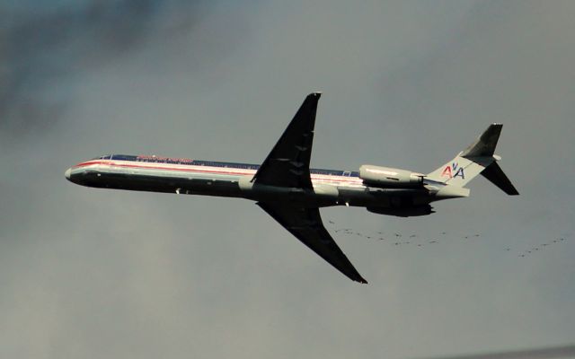 — — - Check out the flock of high flying geese just behind the MD88.