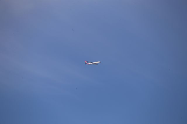 Airbus A330-200 (N386HA)