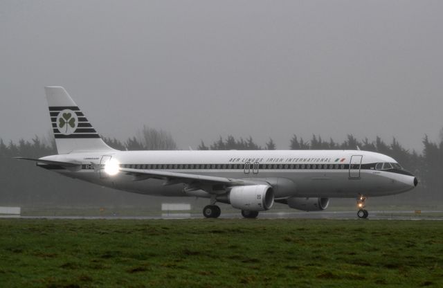 Airbus A320 (EI-DVM)