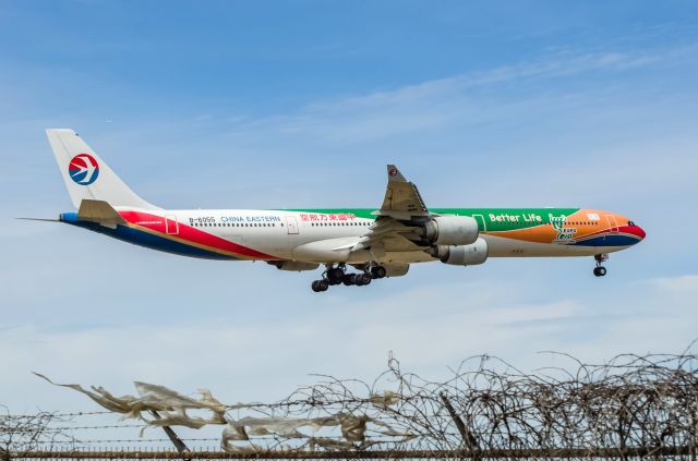 Airbus A340-600 (B-6055) - This bird will be retired by end of April, 2015