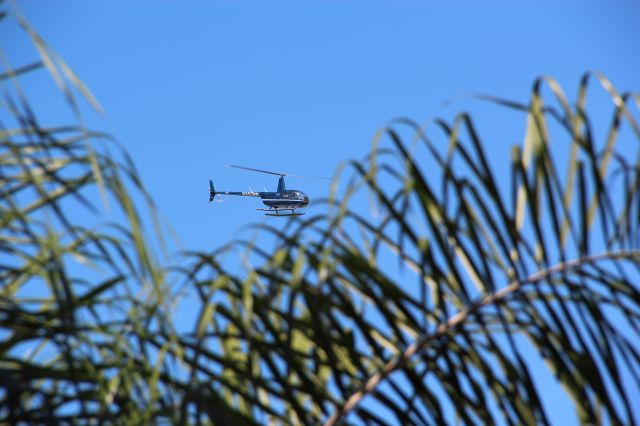 Robinson R-44 (N267AW) - Flying over downtown Tampa, this shot captured from the docks at Harbour Island... Enlarge to see passengers!