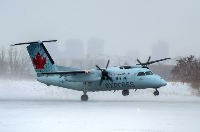 Fokker D-8 Replica (C-GANI) - Air Canada Dash-8-102 C-GANI