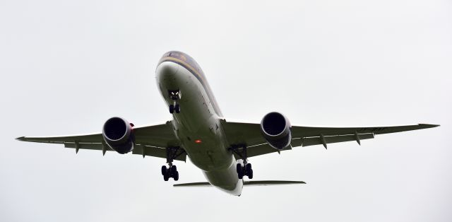 Boeing 787-8 (JY-BAF) - Royal Jordanian 787 on approach to 22R at DTW.