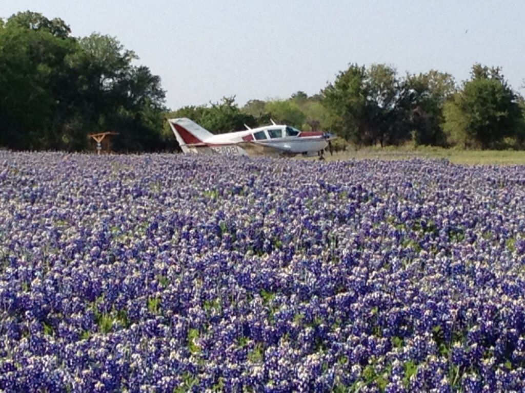 BELLANCA Viking (N28021) - Springtime in Texas