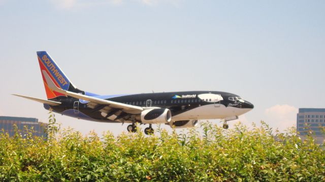 Boeing 737-700 (N713SW) - Landing on RWY 19R