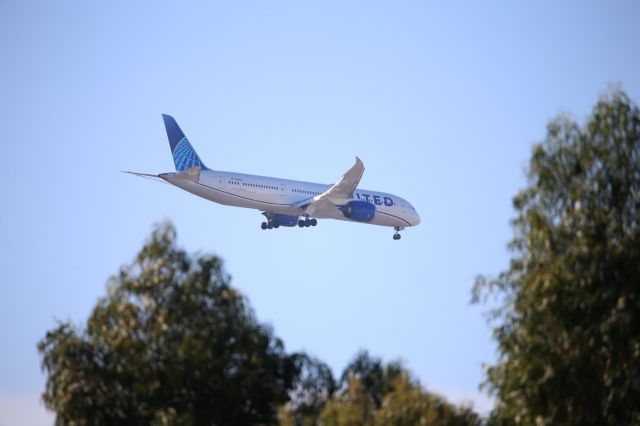 Boeing 787-9 Dreamliner (N29984)