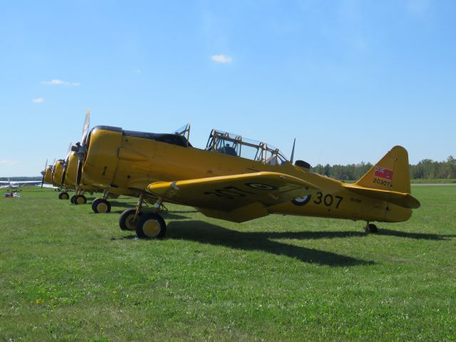 North American T-6 Texan (C-FFBD)