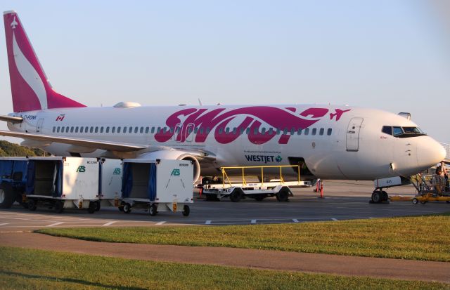 Boeing 737-800 (C-FONK)
