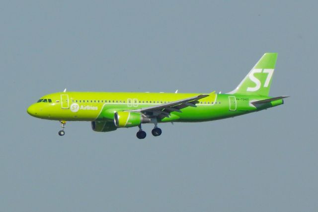 Airbus A320 (RA-73401)