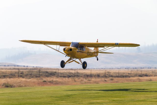 Piper L-21 Super Cub (N540DM)