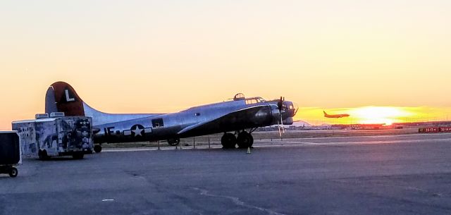 Boeing B-17 Flying Fortress (N3701G)