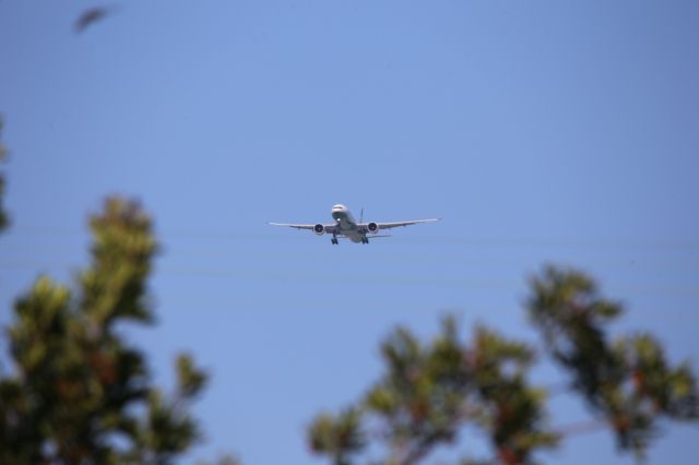 BOEING 777-300ER (B-16720)