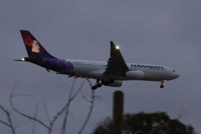 Airbus A330-200 (N393HA)