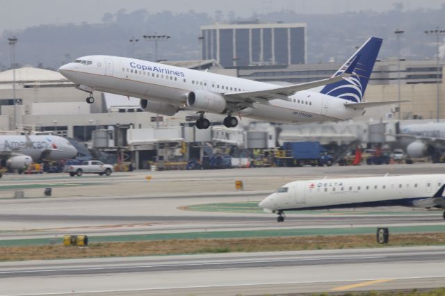 Boeing 737-800 (HP-1725CMP)