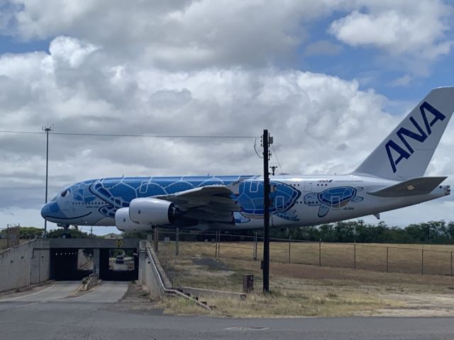 Airbus A380-800 — - On Hickam field in Honolulu Hawaii. 