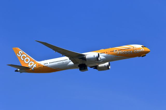 Boeing 787-8 (9V-OJC)