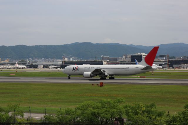 BOEING 767-300 (JA8987)