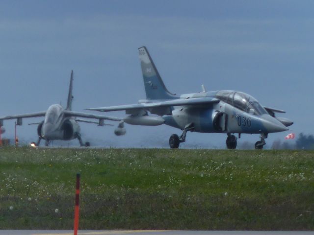 DASSAULT-BREGUET/DORNIER Alpha Jet (C-GUTO) - top aces alpha jets