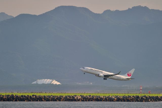 Boeing 737-800 (JA343J)