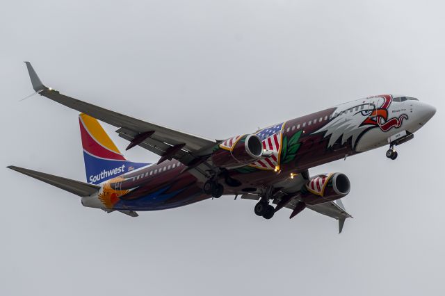 Boeing 737-800 (N8619F) - Illinois One. Random trip to the airport on my way home. First catch of the day