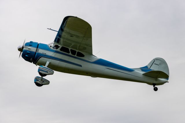 N9363A — - Cessna 190 at the Bowman Field Flying Club fly-in on 2021-08-28.