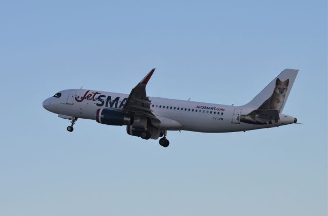 Airbus A320 (LV-IVN)