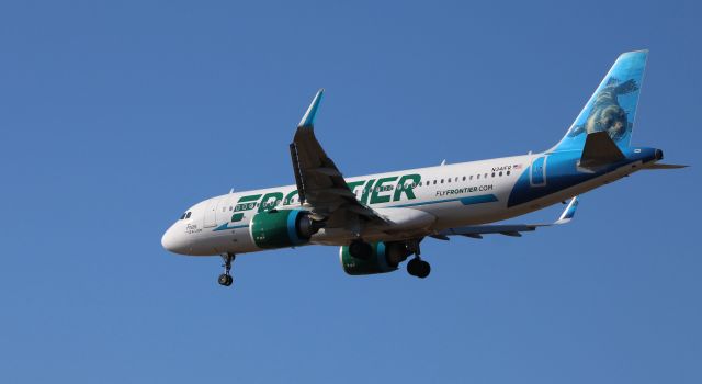Airbus A320neo (N341FR) - On final is this 2018 Frontier Airbus A320-251N "Fran" the Sea Lion enjoying the view in the Winter of 2020.