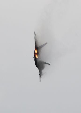 Lockheed F-22 Raptor — - Raptor Demo team. 