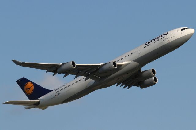 Airbus A340-300 (D-AIGS)