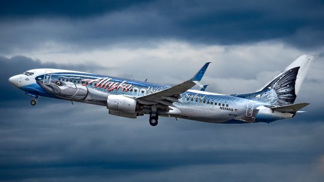 Boeing 737-800 (N559AS) - Alaska B738 with the special "Salmon-Thirty-Salmon" livery rocketing out of an overcast KSEA.