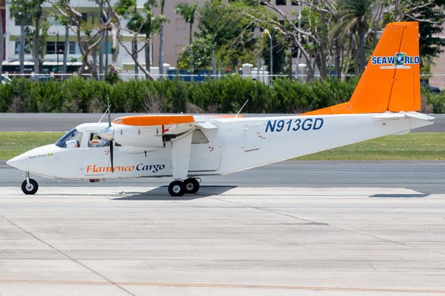 ROMAERO Islander (N913GD)