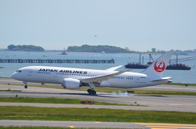 Boeing 787-8 (JA826J)