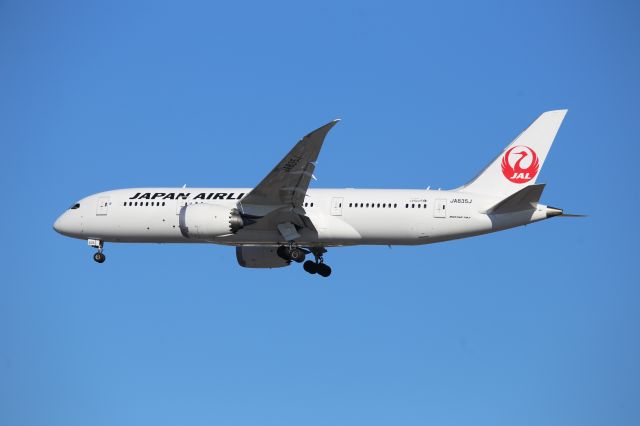 Boeing 787-8 (JA835J)