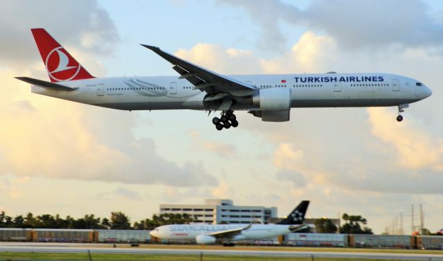 BOEING 777-300ER (TC-LJA) - Flanked by an Avianca A330-200"With "Star Alliance livery in the background!