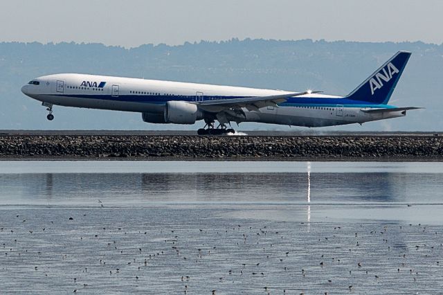 — — - JA732A - ANA 008 arrives KSFO from RJAA