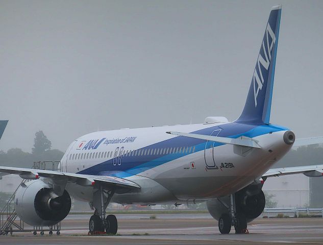 Airbus A321neo (JA219A) - I took this picture on May 01, 2019.