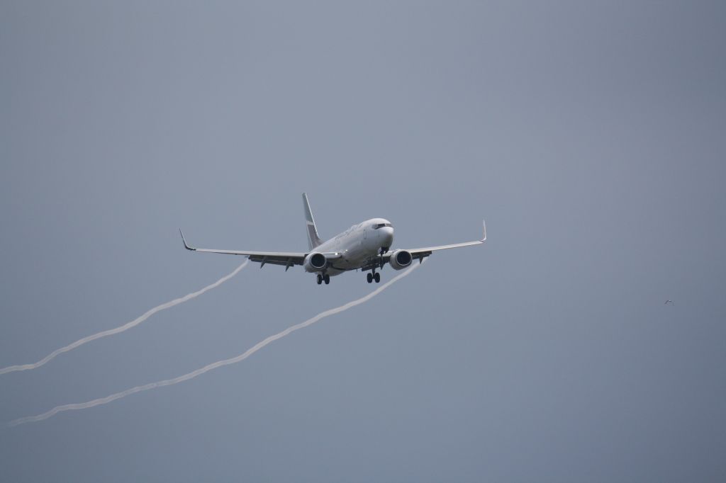 Boeing 737-800 (C-GWSA) - Westjet flight Landing At Lester B.Pearson Intl Airport with water vapor trailing behind aircraft,photo taken July 27/2009