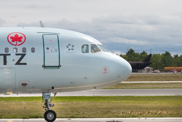 Airbus A319 (C-GBHN) - ***Please select FULL for correct resolution*** The Nose of the Charter A319 Jetz Fleet