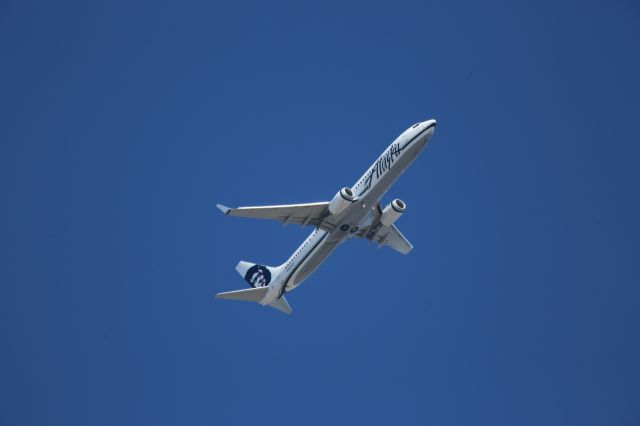 Boeing 737-700 (N423AS)