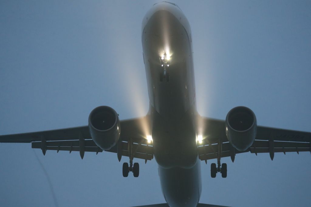 Airbus A321 (JA136A) - August 4th 2020:HND-HKD.