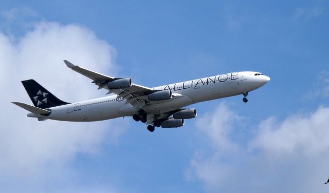 Airbus A340-300 (D-AIFF) - On final is this Star Alliance Airbus A340-300 in the Summer of 2018.