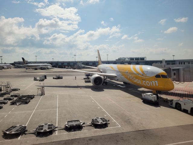 Boeing 787-9 Dreamliner (9V-OJH)