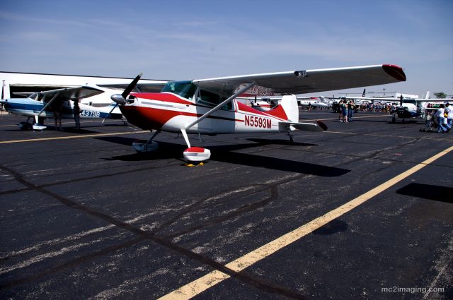 Cessna 170 (N5593M)