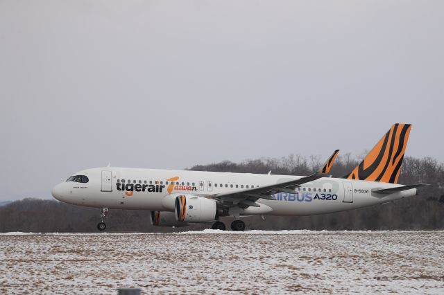 Airbus A320neo (B-50021) - March 20, 2025:HKD-TPE.