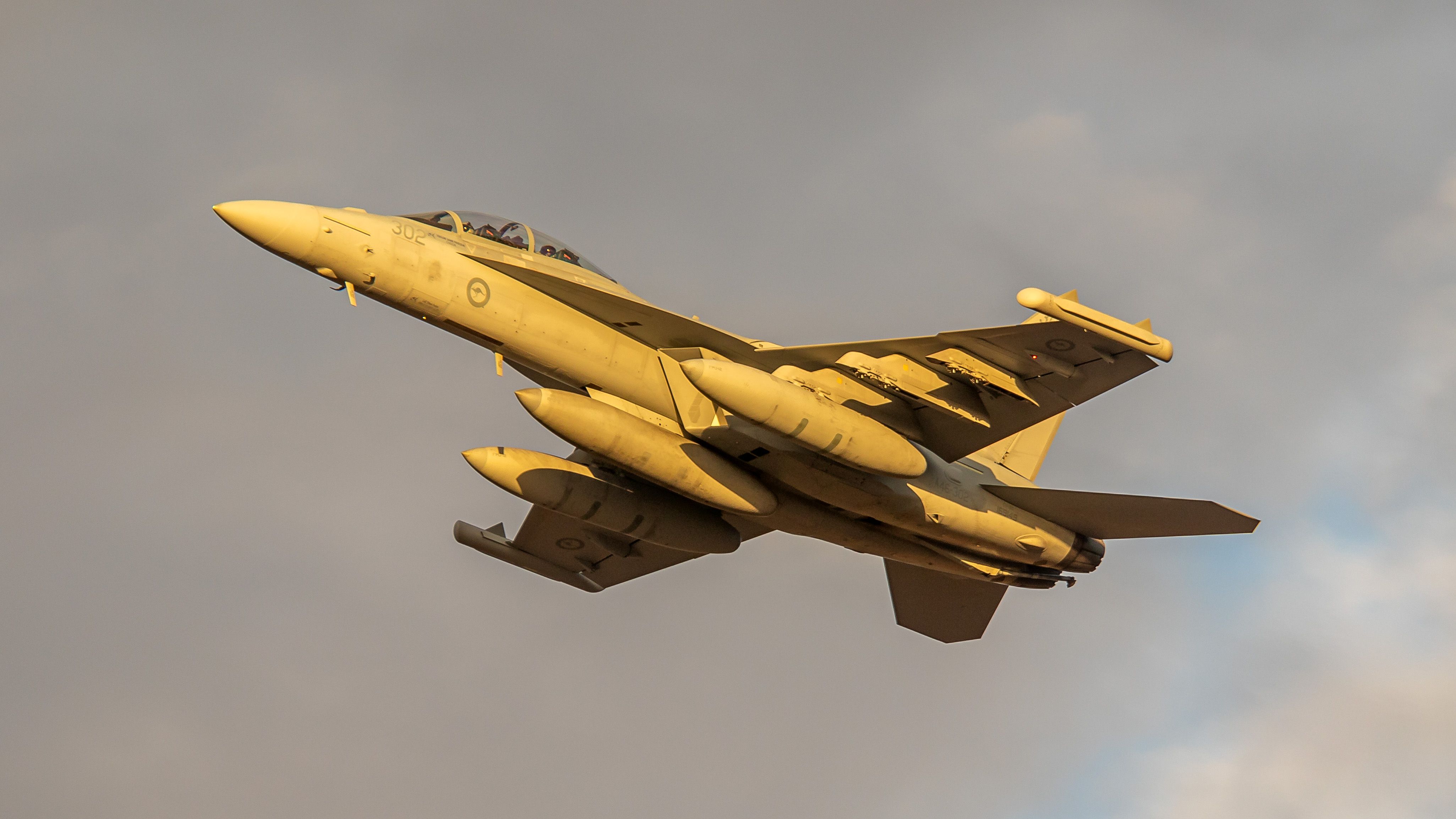 McDonnell Douglas FA-18 Hornet (A46302) - Boeing EA-18G Growler