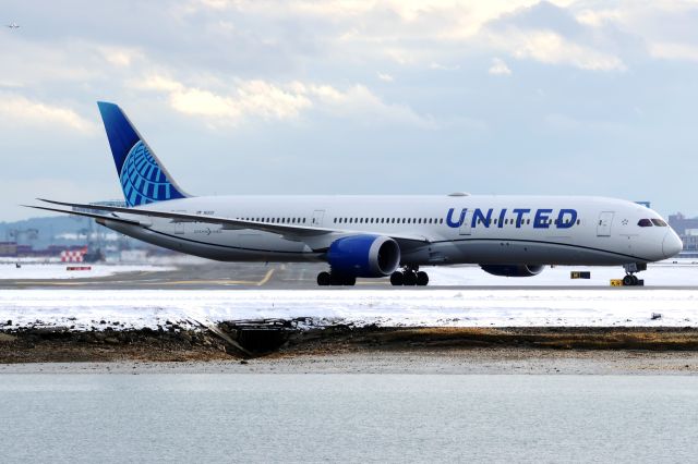 BOEING 787-10 Dreamliner (N12021) - Diversion