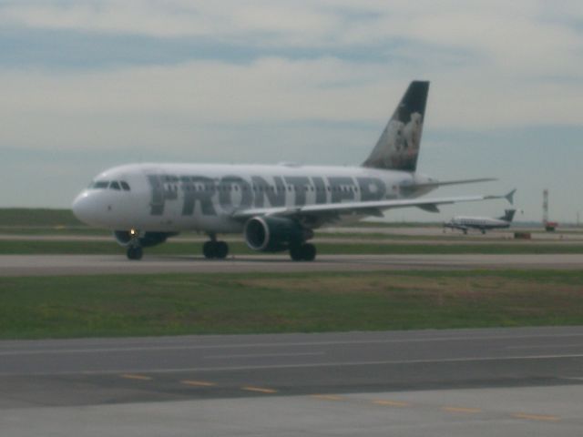 Airbus A319 (N924FR) - Klondike and Snow, the Denver Zoos polar bear cubs.