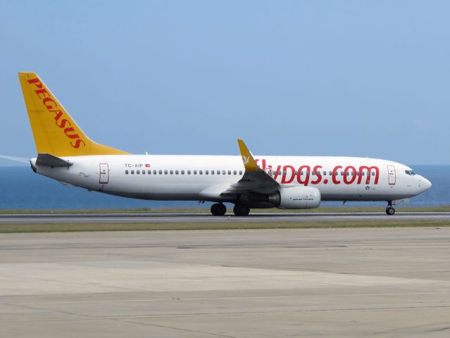 Boeing 737-800 (TC-AIP)